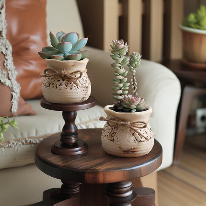 T4U Succulent Pots Set of 4, 3.5 Inch Small Plants Pots, Small Ceramic Pots with Drainage Holes, Succulent Planters for Indoor Plants, Succulent Gift for Women, Mom, Plant Lover, Bookshelf Decor