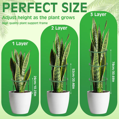 Skiennix Plant Support Stakes - 48 Pcs Stackable Half Round Garden Supports for Climbing Plants | Ideal for Tomatoes, Monstera, Peonies