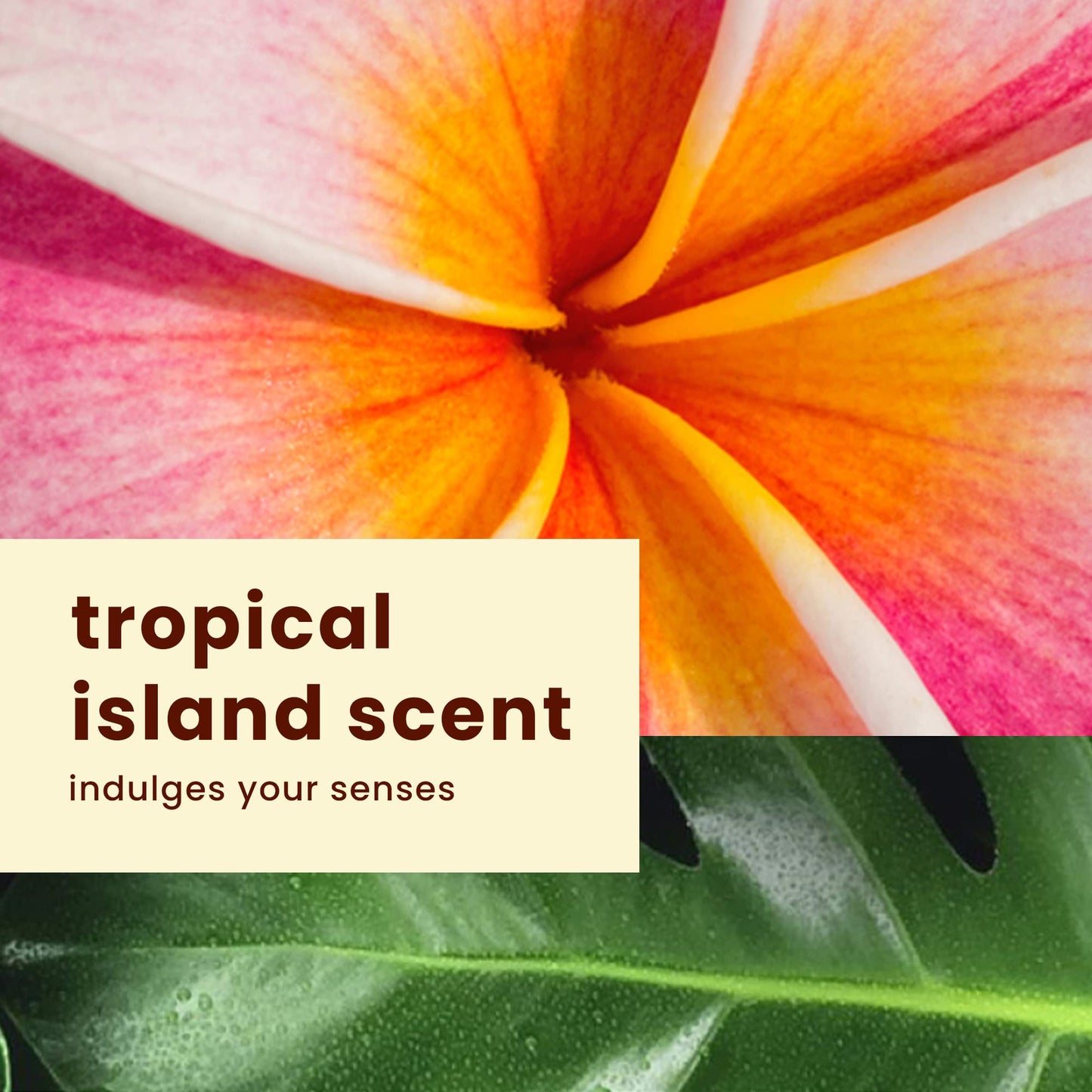 Hawaiian Tropic Everyday Active Lotion Sunscreen SPF 30, 8oz Twin Pack | Broad Spectrum, Oxybenzone Free Sunblock, 8oz Each