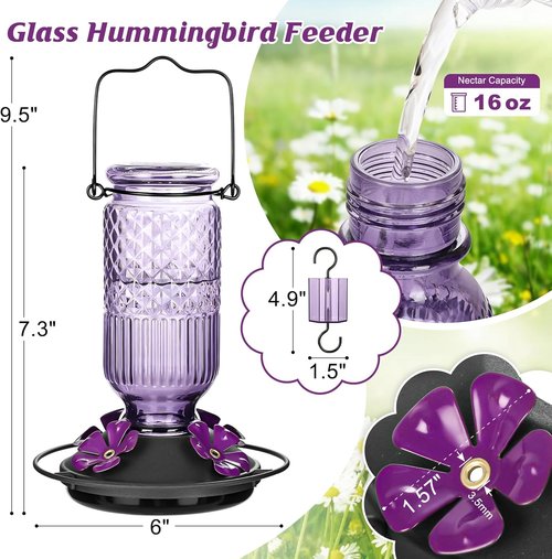 FEED GARDEN Glass Hummingbird Feeder - 16 oz Outdoor Feeder with Bee-Proof Ports & Ant Moat, Purple