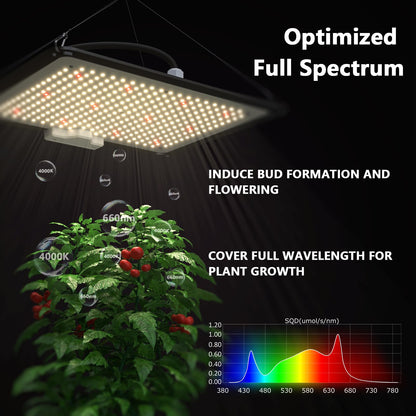 TopoGrow Upgrade Integrated Auto Grow Tent Kit Complete Kit, S1000 LED Grow Light, 32"x32"x64" Grow Tent, 4“ Ventilation with Inline Fan, Carbon Filter, Irrigation Kit, Humidifier and Clip Fan