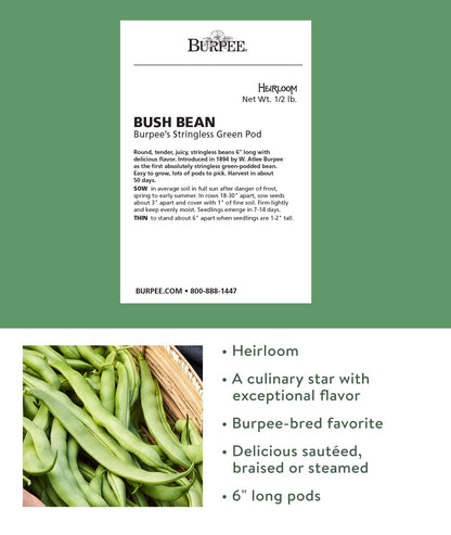 Burpee Stringless Green Pod Bush Bean Seeds 8 ounces of seed