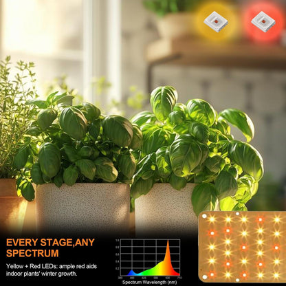 DOMMIA Panel Grow Light for Indoor Plants, 20W Ultra-Thin Full Spectrum LED Grow Light for Shelf & Cabinet, Dimmable with 6/12/16H Timer, Warm White, 1-Pack