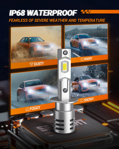 SEALIGHT H1 Fog Light Lamps 30,000LM, Canbus Ready, IP68, Easy Installation, Pack of 2, White