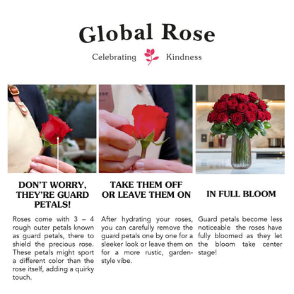 GlobalRose 75 Pink Roses Bouquet - Responsibly Sourced Roses Fresh Flowers - Hand-Picked Flowers Fresh Bouquet for Graduation, Anniversary, Birthday & Special Occasions (3 Bunches of 25 Stems)