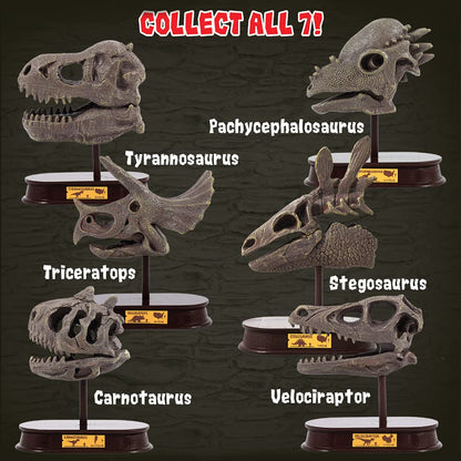 ArtCreativity Dinosaur Excavation Kit for Kids, Brachiosaurus Skull Excavating Set with Fossil Digging Tools and Stand, Fun Science Activity Toy, Educational Dinosaur Gift for Boys and Girls
