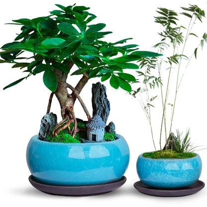 Dahlia Round Ceramic Succulent Pot/Bonsai Pot with Drainage Tray, 2pc Set Teal