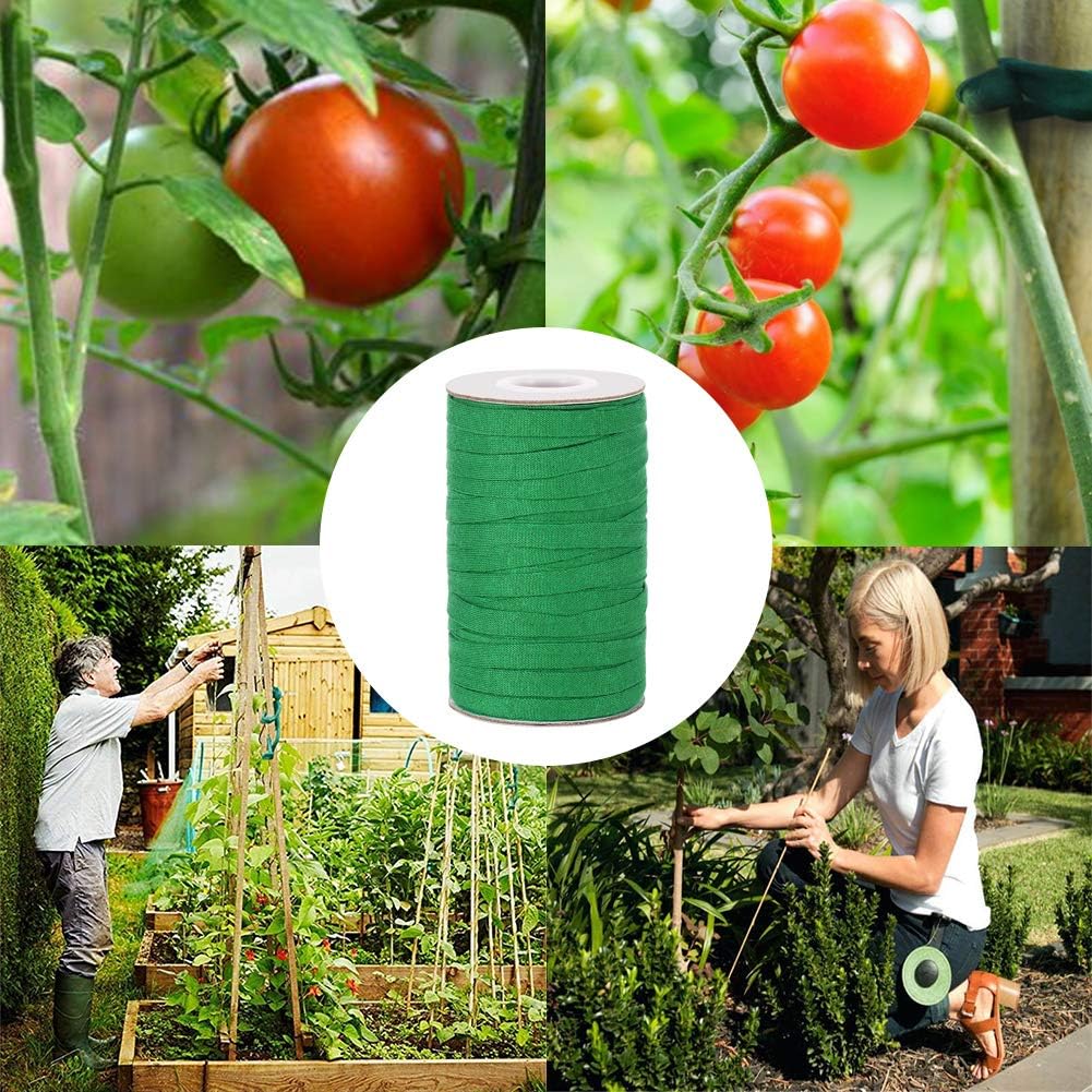 Skiennix Plant Ties - 164 Feet Biodegradable Green Garden Twine for Tomato Plants & Climbing Vines