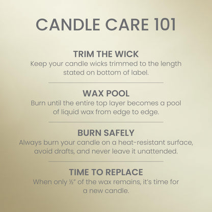 Yankee Candle Studio Scented Candle, Single Wick Jar Candle for Home Fragrance, Premium Plant Wax Blend, Long Lasting Burn, Sage & Citrus (Pack of 1)