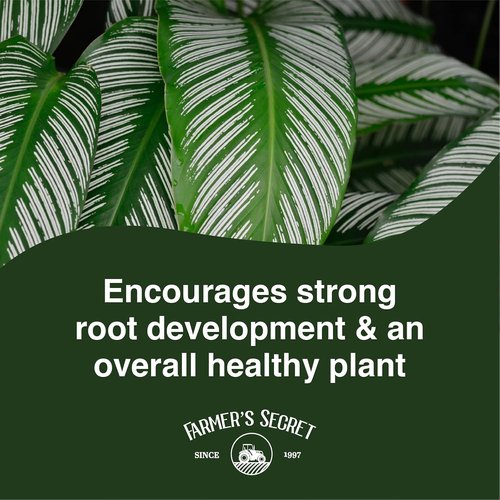 Farmer's Secret Calathea Liquid Plant Food - Super Concentrated 6:5:3 Fertilizer for Growth | 8oz