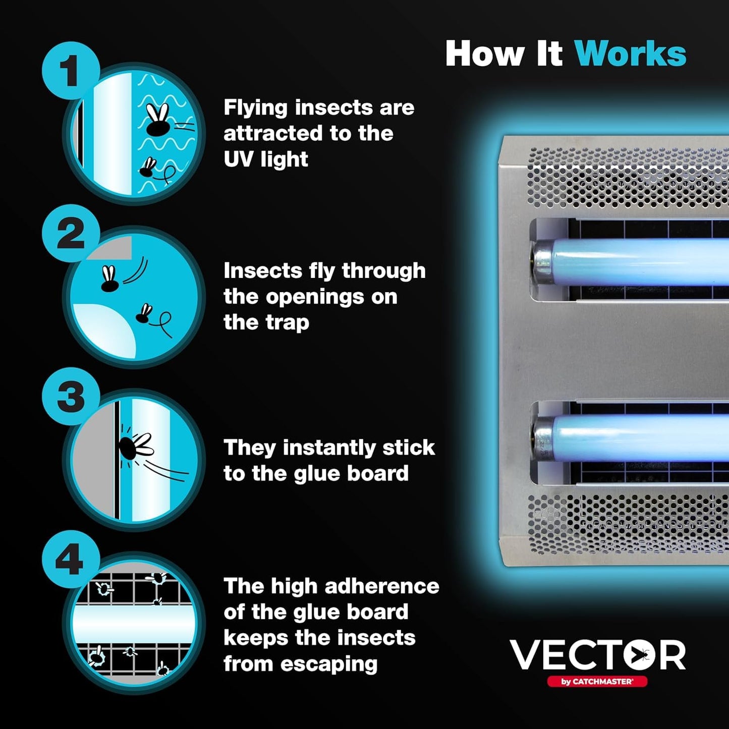 Catchmaster Vector 30, UV Light Fly Trap & Replacement Board Bundle, Fly Traps Indoor for Home, Electric Gnat Traps with Shatterproof Bulbs, Silent Bug Light for Kitchen, Shed, Garage, 12-Pack Black R