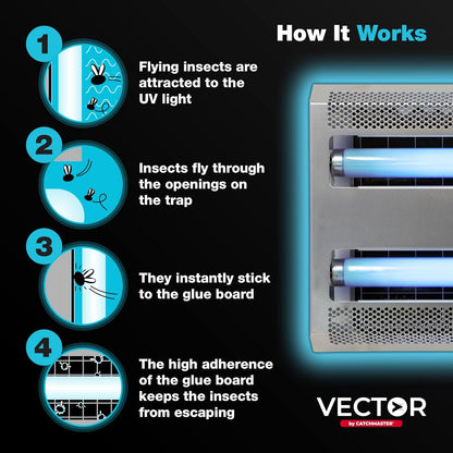 Catchmaster Vector 30, UV Light Fly Trap & Replacement Board Bundle, Fly Traps Indoor for Home, Electric Gnat Traps with Shatterproof Bulbs, Silent Bug Light for Kitchen, Shed, Garage, 12-Pack Black R
