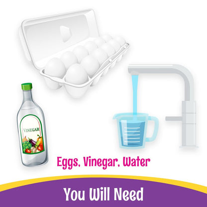 PAAS Megga Color Cups Egg Decorating Kit: Dye 12 Eggs at The Same Time!