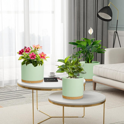 DGJDLWHX Large Plant Pots Set of 3 – 8", 9", 10" Indoor Flower Pots with Drainage Holes and Saucers, Big Planters for Monstera, Fiddle Leaf Fig, Snake Plant – 5 Colors