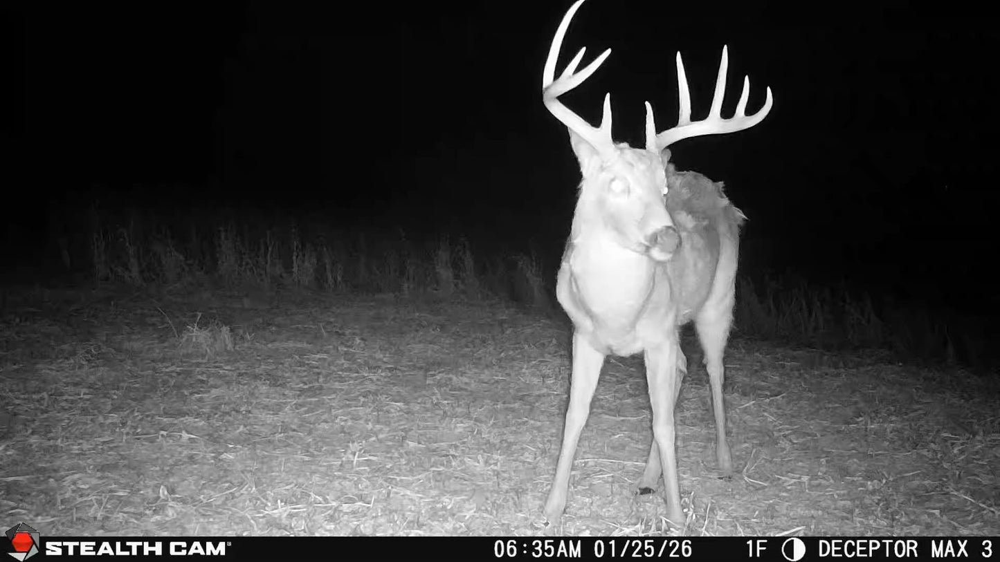 Stealth Cam Deceptor MAX 3.0 Cellular Trail Camera 50MP Photos 1440P Video 0.3s Trigger 100 ft Range 940nm No Glow Dual-Core AI Live on Demand GPS 16GB Memory