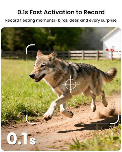 Misstech 4K UHD Solar Trail Camera for Game & Wildlife Monitoring - 0.1s Fast Activation to Record Animals, 64MP/4K Clear Night Vision, No Monthly Fee, App Control, IP66 Waterproof, 32GB SD Card