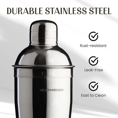 Modern Mixology 8-Piece Cocktail Shaker Set with Velvet Bag | Complete Kit for Bartenders | Includes Shaker with Strainer, Jigger, Muddler, Spoon, Pourers | Travel Bar Essentials (Silver)