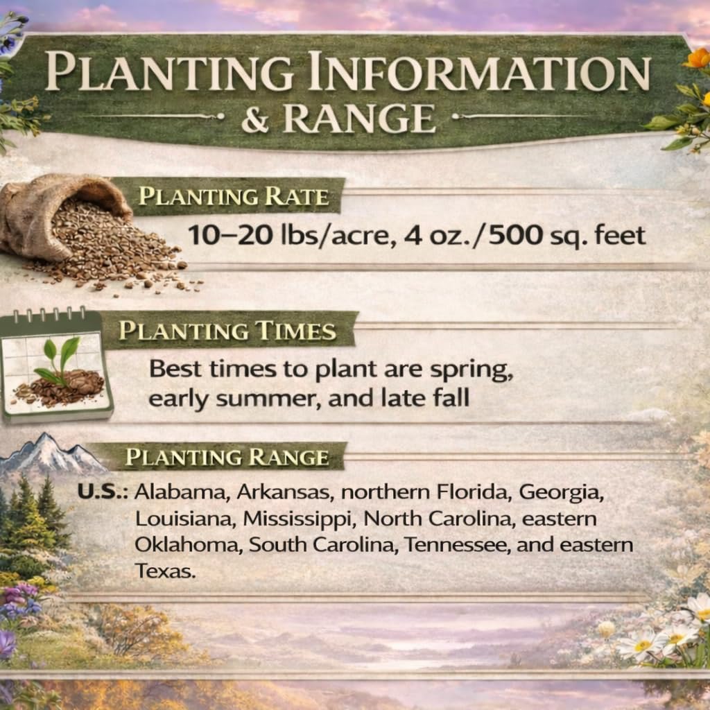 Southeastern US Wildflower Seed Mix - Attract Pollinators with Multi-Color Blooms | Covers 2,000 Sq Ft (1 lb)