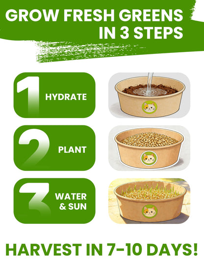 Cat Grass Kit for Indoor Cats, 3 Pack Fast Growing Cat Grass Kit with Eco-Friendly Biodegradable Pots, Soil & Wheatgrass Seeds, Grows in 3-7 Days with High Germination Rate
