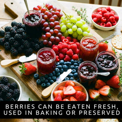 Live Berry Starter Plant Variety Pack – 1 Year Seedlings BlackBerry, Raspberry, Blueberry, Grape, & 5 Strawberry Roots, Edible Fruit Garden Kit, Outdoor Planting, Beginner Friendly Home Garden
