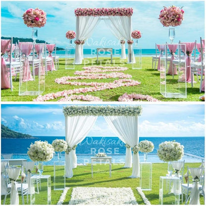 Skiennix Artificial Silk White Rose Petals - Scented & Pre-Separated for Weddings | 1000 Pcs Cream