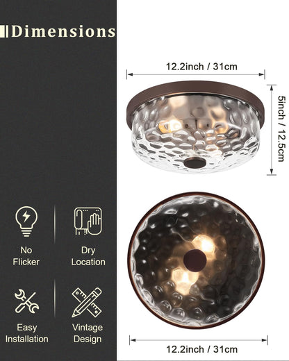 BinoBro 12 Inch Flush Mount Ceiling Light, 2 Light Industrial Fixture, Oil Rubbed Bronze, Model CL23998, Metal & Glass