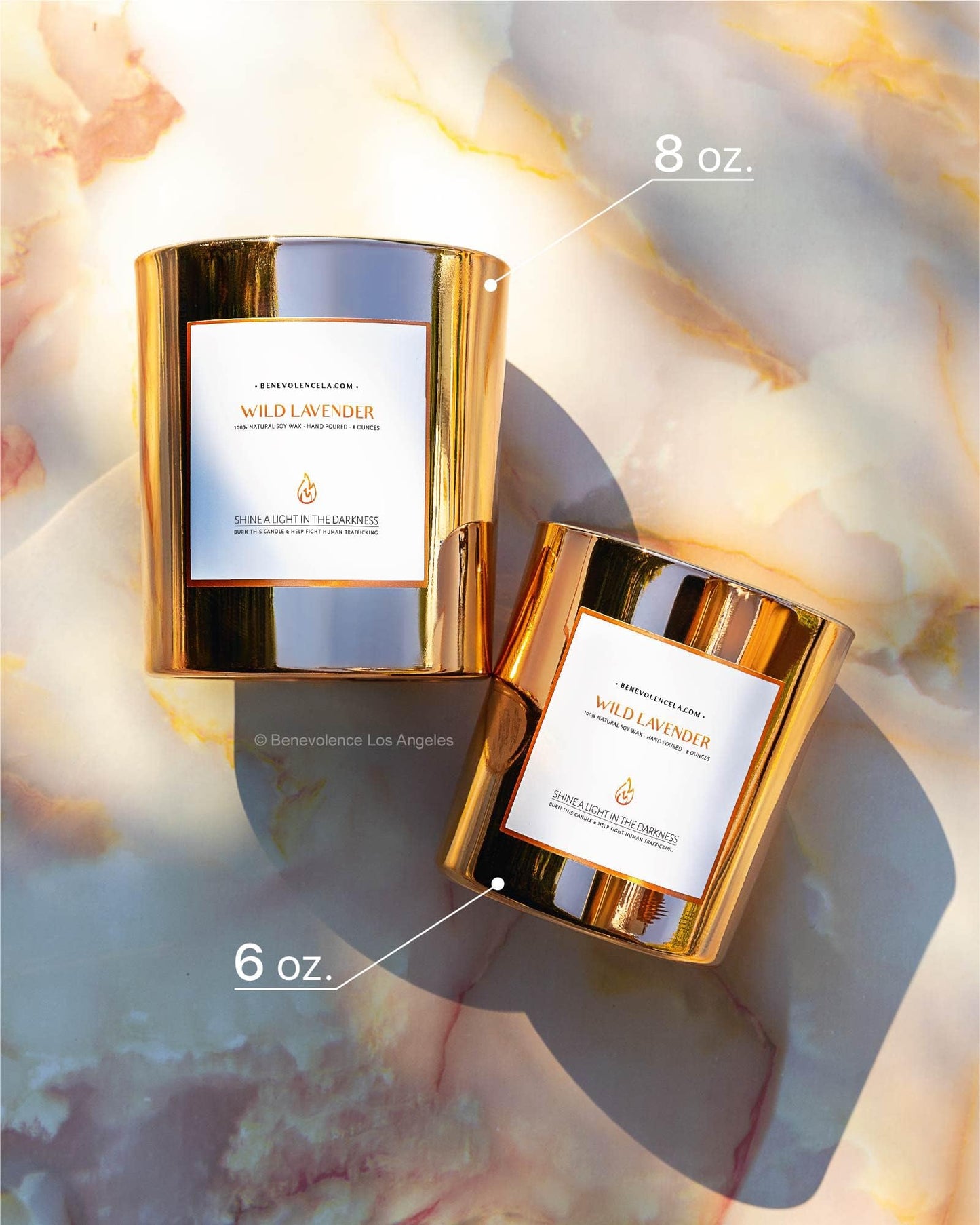 Benevolence LA Wild Lavender Wood Wick Candle | Soy Christmas Scented Candles for Home | Holiday Candle Gifts for Women and Men | Home Fragrance | Aromatherapy | Bathroom Freshener | 8oz, 45 Hour Burn