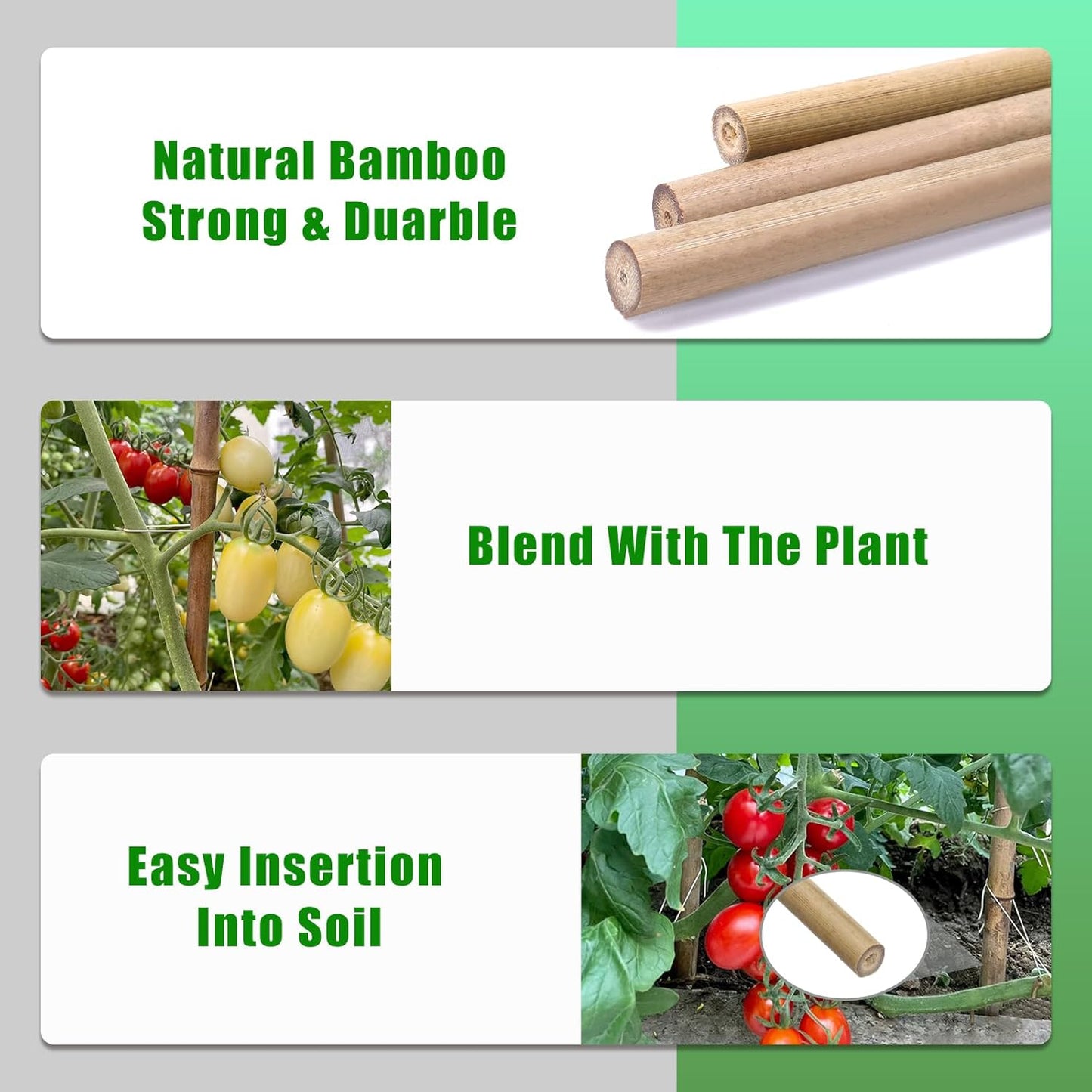 Bamboo Garden Stakes - 4 Feet Tall | 65 Pcs Durable Plant Supports for Tomatoes, Beans & Flowers