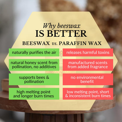 Big Dipper Wax Works Large Ivory Beeswax Pillar Candle 3" x 6" – 90-Hour Burn, Non-Toxic, Dripless, Handcrafted in USA, Clean Burning with Natural Honey Scent