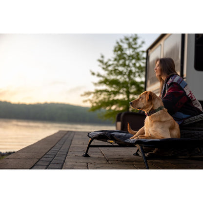 Momarsh Elevated Dog Cot with Washable Soft Pad & Folding Frame for Travel & Home Use | All in One Home Cot with Non Slip Feet | Large Portable Dog Bed | Perfect Padded Pet Bed System for Dogs