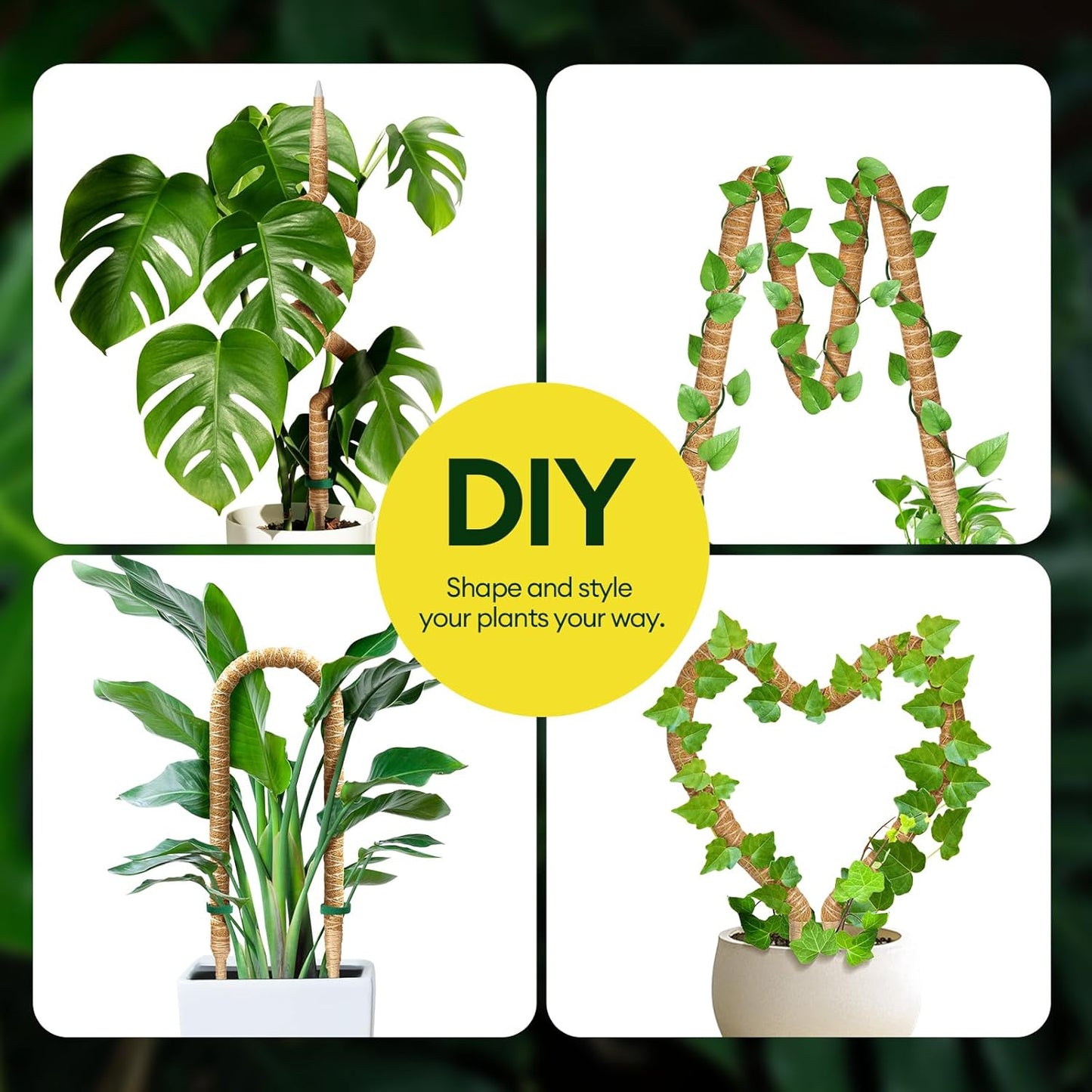 Maygrove 3-Pack 48” Bendable Moss Poles - Ideal Support for Climbing Monstera & Indoor Plants