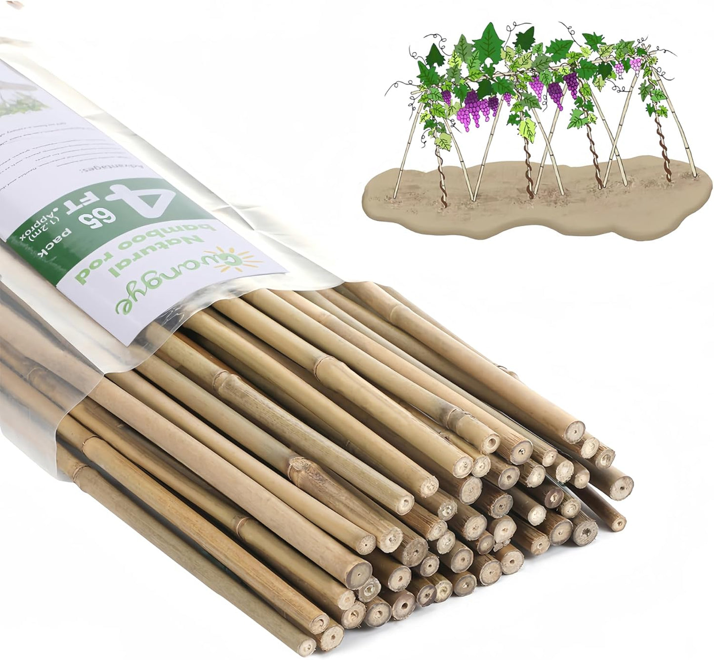 Bamboo Garden Stakes - 4 Feet Tall | 65 Pcs Durable Plant Supports for Tomatoes, Beans & Flowers