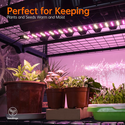Bstrip Indoor Greenhouse with Grow Lights & Floor Grow Light for Indoor Plants