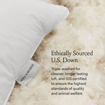 BOLL & BRANCH Down Chamber Pillow - Medium, Standard - Naturally Cooling Shell - Premium Comfort, Superior Support - Cruelty-Free IDS Certified Down