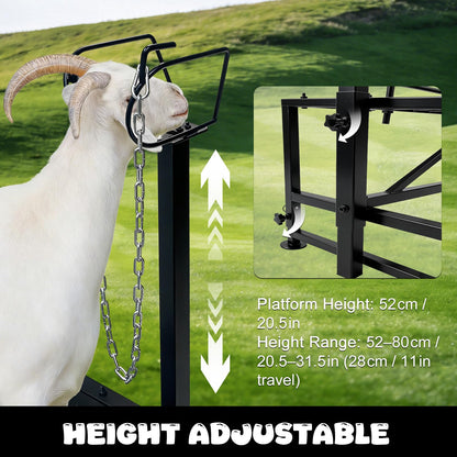 47"L Heavy Duty Goat Milking Stand with Detachable Ramp, 700lbs Capacity Sheep Trimming Station, Professional Livestock Grooming Platform with 4-Level Adjustable Headlock for Hoof Care