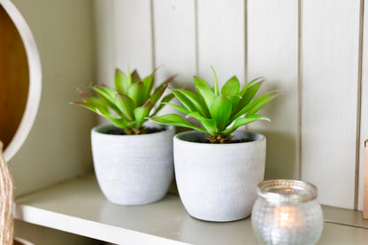Kurrajong Farmhouse Artificial Plants Indoor | Set of 2 Fake Plants for Desk Decor | Artificial Succulents in pots | Fake Succulents| Faux Plants Indoor | Faux Agave for Shelf Decor