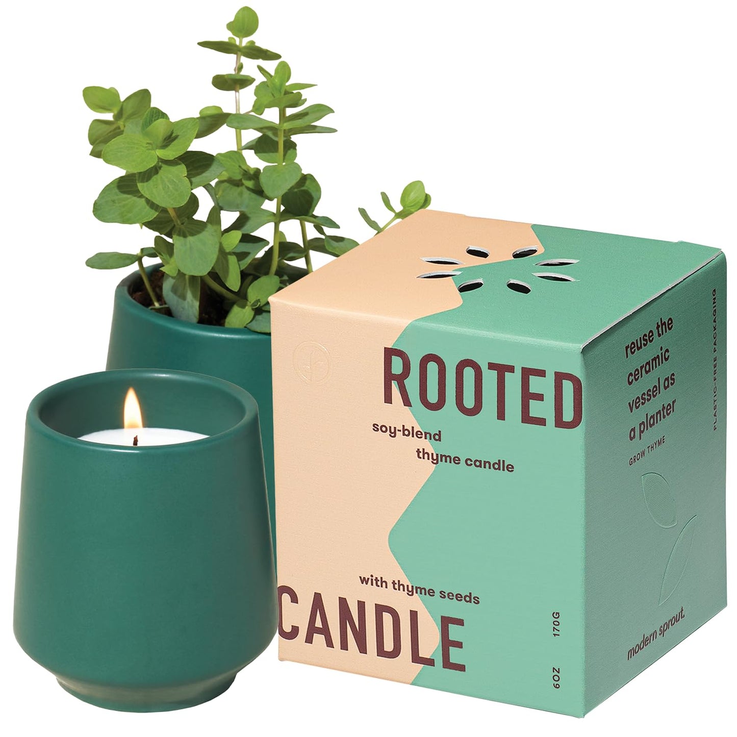 Modern Sprout - 2 in 1 Tonka Bean Scented & Soy Candle with Seeds that Grows into Thyme Plant - 6 oz w/ 42 hr Burn time in Matte Glaze Ceramic Vessel Ideal for Indoor Herb Garden