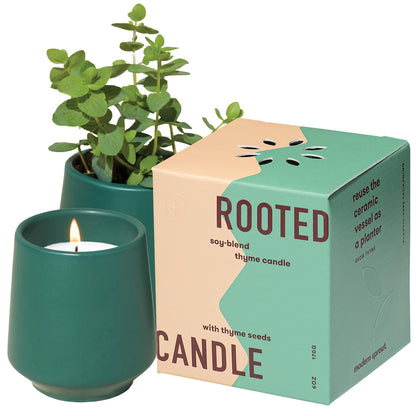 Modern Sprout - 2 in 1 Tonka Bean Scented & Soy Candle with Seeds that Grows into Thyme Plant - 6 oz w/ 42 hr Burn time in Matte Glaze Ceramic Vessel Ideal for Indoor Herb Garden