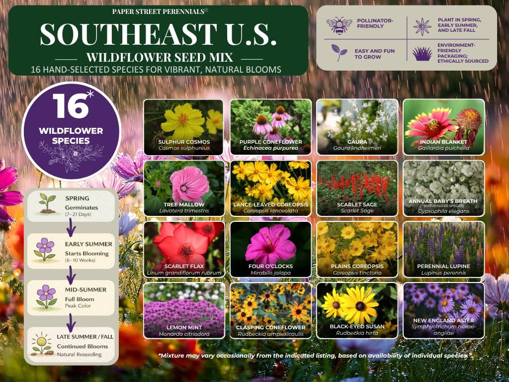 Southeastern US Wildflower Seed Mix - Attract Pollinators with Multi-Color Blooms | Covers 2,000 Sq Ft (1 lb)