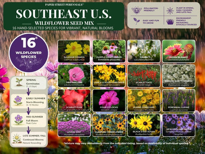 Southeastern US Wildflower Seed Mix - Attract Pollinators with Multi-Color Blooms | Covers 2,000 Sq Ft (1 lb)