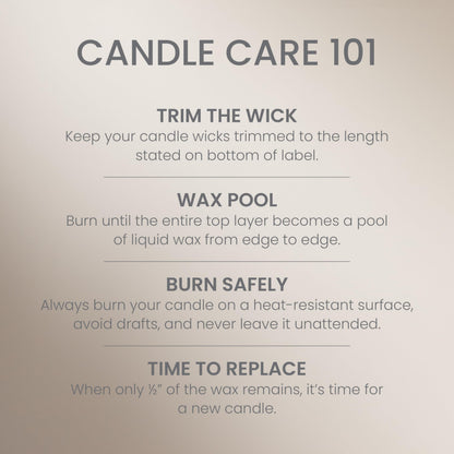 Yankee Candle Studio Scented Candle, Jar Candle for Home Fragrance, Premium Plant Wax Blend, Long Lasting Burn, Room Filling Fragrance, Amber & Sandalwood (Pack of 1)
