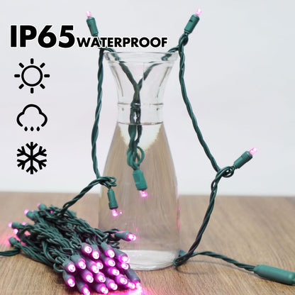 LAMPHOME LED String Lights, 100 Count (2pk of 50L), 6in Spacing, Green Wire, Pink