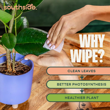 Southside Plants Plant Cleaning Wipes - Gentle, Plant-Based Leaf Wipes for Shiny Leaves | Unscented, Extra Thick - 80 Ct