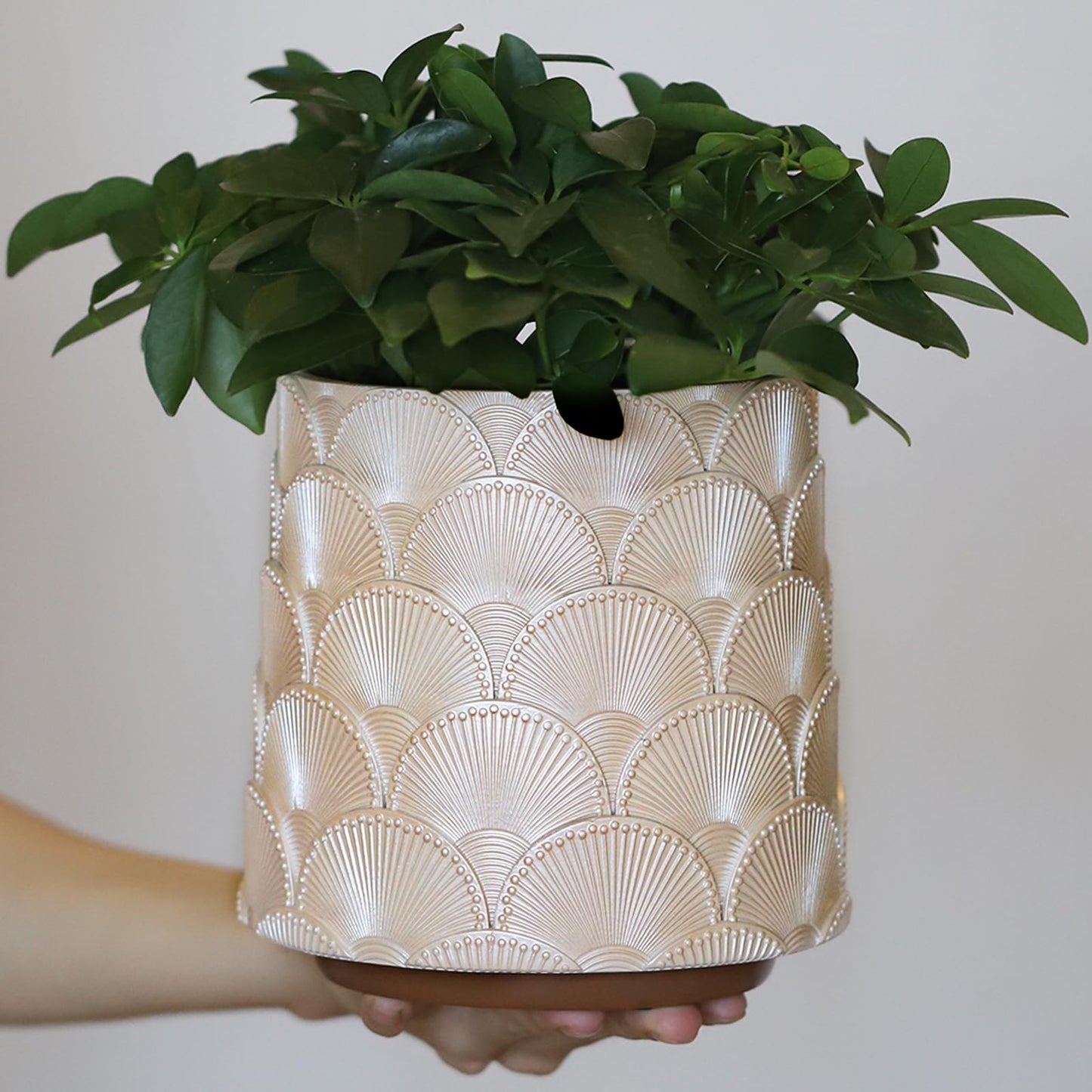 GUGUGO Pearl Beige Scale Planter, Cute Unique Plant Pot with Drainage, Eclectic Colorful Small Flower Planters Pots for Indoor & Outdoor Plants, Rainbow Funny Succulent Gardening Pot Gifts