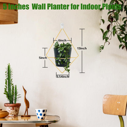 Koalaime 3 Sets Wall Planters for Indoor Plants Geometric Hanging Planters for Indoor Plants - Self-Watering Flower Pots with Black Metal Holder, Mounted Succulent Planter, 5" Black Plant Pot