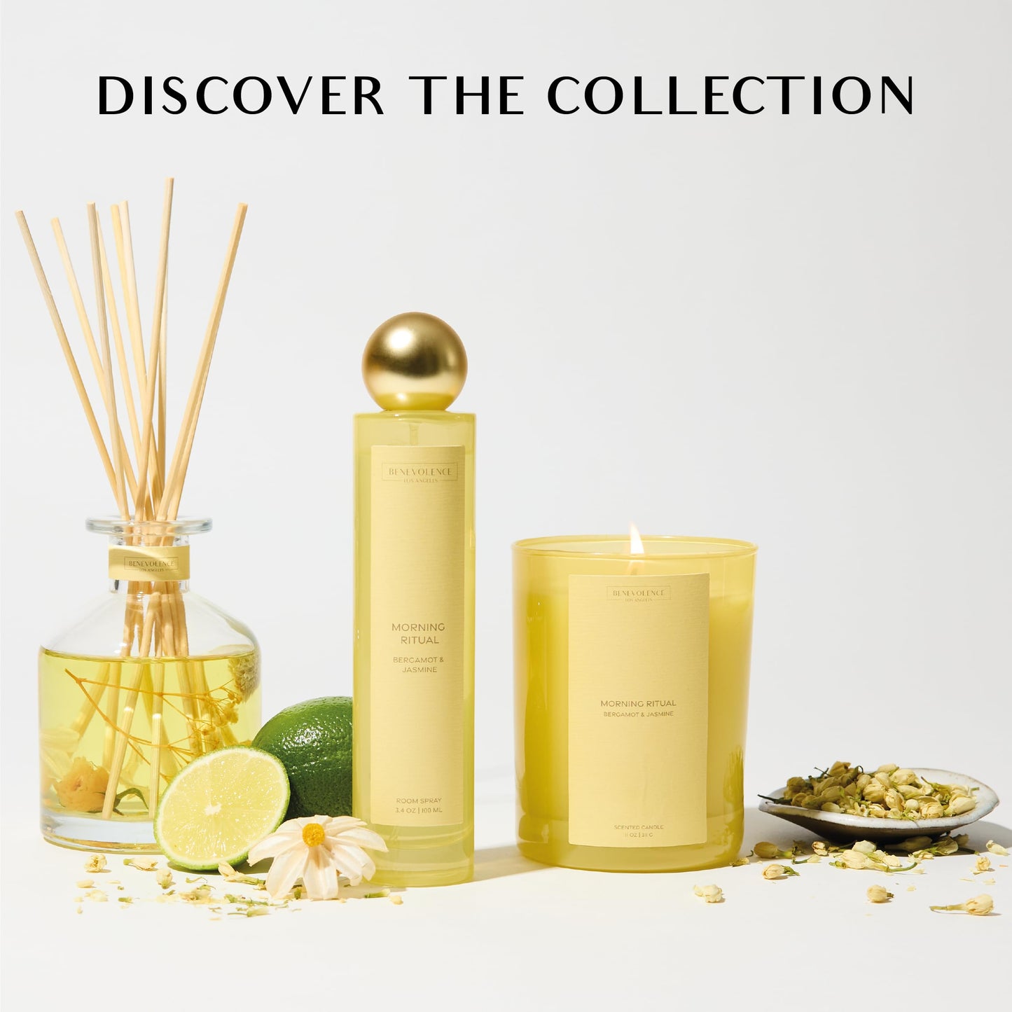 Bergamot & Jasmine Scented Candle | 11oz, 60 Hour Burn | Natural Soy Wax, Cotton Wick | Soy Scented Candles for Home | Benevolence LA Sun-Kissed Collection - Morning Ritual
