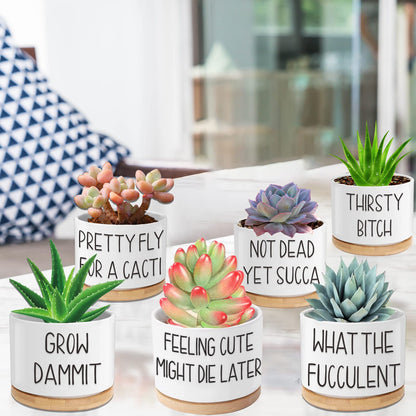 6pcs Funny Succulent Plant Pots, 3.15'' Ceramic Small Succulent Planters with Drainage Hole and Bamboo Tray, Cute Flower Pots for Indoor/Outdoor Plants, Birthday Gifts for Women - Plants Not Included