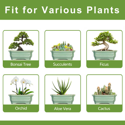 Teagas Bonsai Tree Pot 11.6 Inch - Ceramic Succulent Pots, Bonsai Planter for Indoor Outdoor, Decorative Plant Pot with Drainage Hole, Rectangular Flower Pot, Home Garden Decor, Garden Gifts, Green