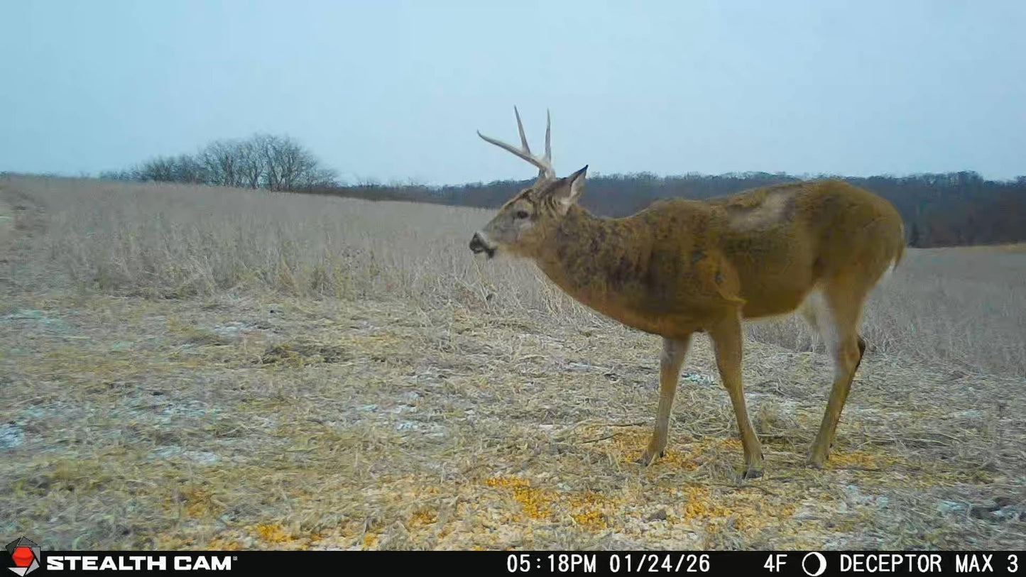 Stealth Cam Deceptor MAX 3.0 Cellular Trail Camera 50MP Photos 1440P Video 0.3s Trigger 100 ft Range 940nm No Glow Dual-Core AI Live on Demand GPS 16GB Memory