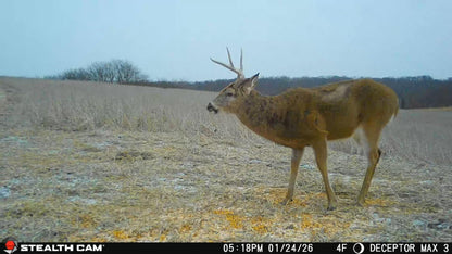 Stealth Cam Deceptor MAX 3.0 Cellular Trail Camera 50MP Photos 1440P Video 0.3s Trigger 100 ft Range 940nm No Glow Dual-Core AI Live on Demand GPS 16GB Memory